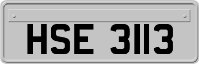 HSE3113