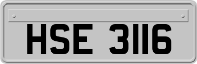 HSE3116