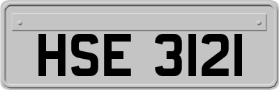 HSE3121
