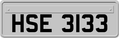 HSE3133