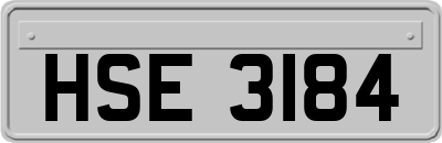 HSE3184