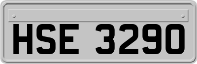 HSE3290