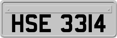 HSE3314