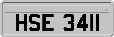 HSE3411