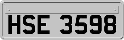 HSE3598