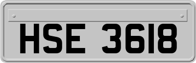 HSE3618