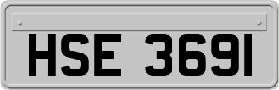 HSE3691