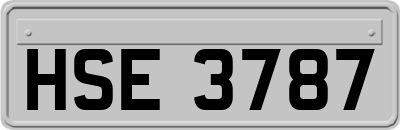HSE3787
