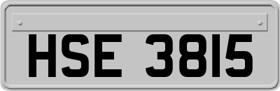HSE3815