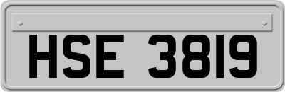 HSE3819
