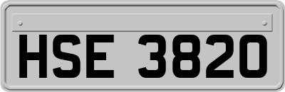 HSE3820