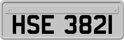 HSE3821