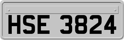 HSE3824