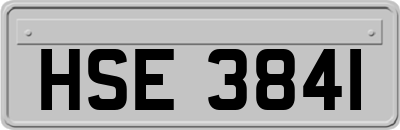 HSE3841