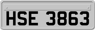 HSE3863