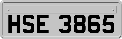 HSE3865