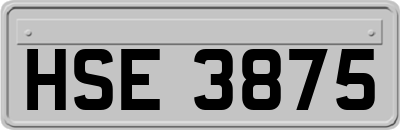 HSE3875