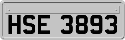 HSE3893