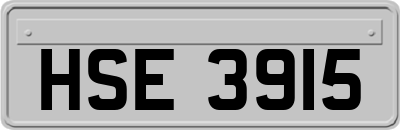 HSE3915