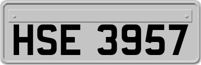 HSE3957