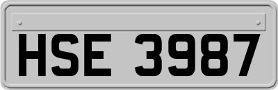HSE3987