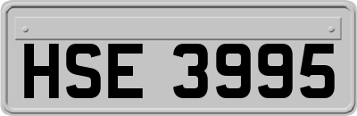HSE3995