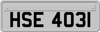 HSE4031
