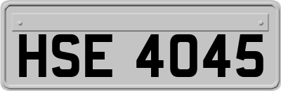 HSE4045