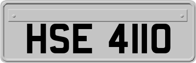 HSE4110