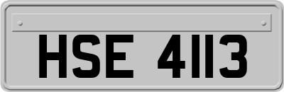 HSE4113