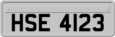 HSE4123