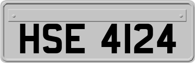 HSE4124