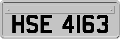 HSE4163