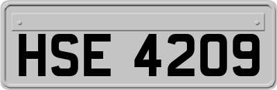 HSE4209
