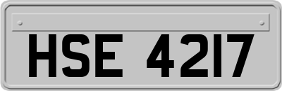 HSE4217