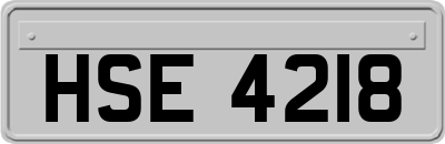 HSE4218