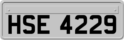 HSE4229