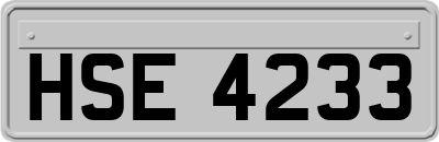 HSE4233