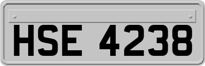 HSE4238