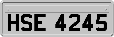HSE4245