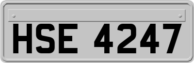 HSE4247