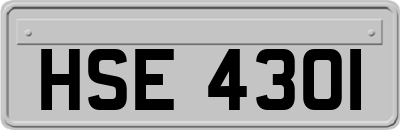 HSE4301