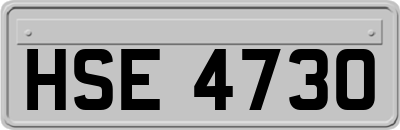 HSE4730