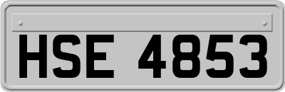 HSE4853