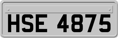 HSE4875