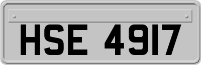 HSE4917
