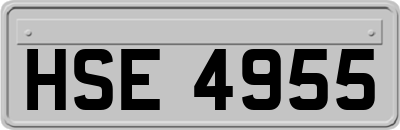 HSE4955