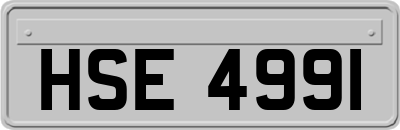 HSE4991