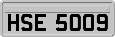 HSE5009
