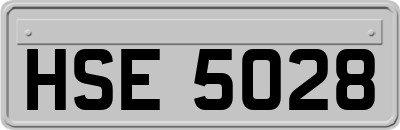 HSE5028